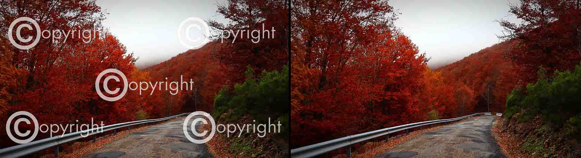  Image Watermark Removal Services